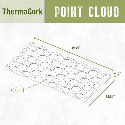 ThermaCork - Point Cloud
