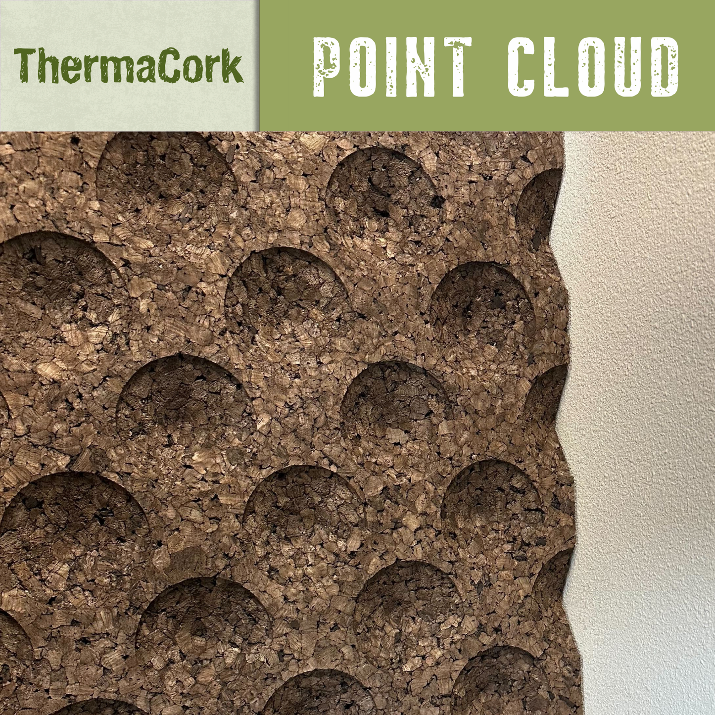 ThermaCork - Point Cloud